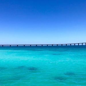 David Guetta/Alan Walker/Jack Ü-Typhoon Maria（潮老伯 Remix）