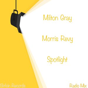 Spotilight (Radio Mix)
