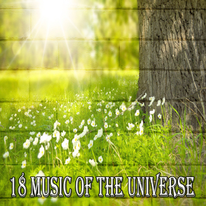 提升到更高的存在