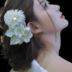 向日葵追阳