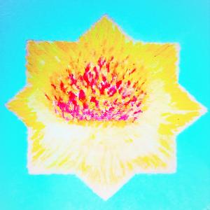 The light of the soul