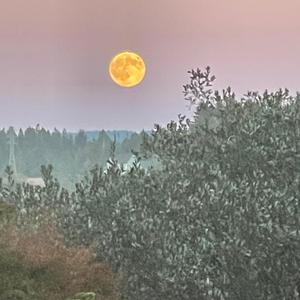 Breaking down my problems to roll them up