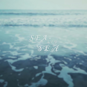 SEAled SEA