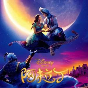 【手风琴】 Whole New World（翻自 迪士尼）