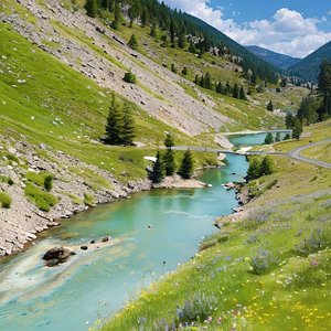 追晚风的人（翻自 舒岩）