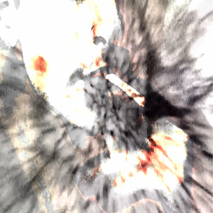 Turro Busca Culisuelta