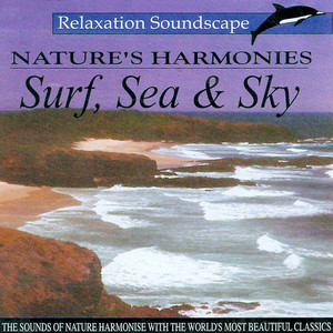 Concerto for Clarinet & Orchestra Kv622 Rondo Allegro