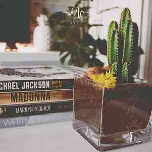 美好心情 (催眠曲)