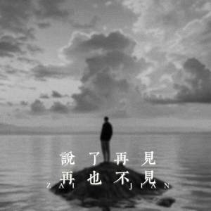 说过再见再也不见