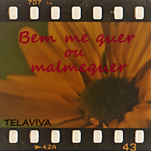 Bem Me Quer Ou Malmequer