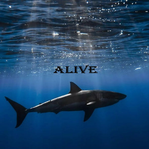 ALIVE（눈꽃송E Remix）