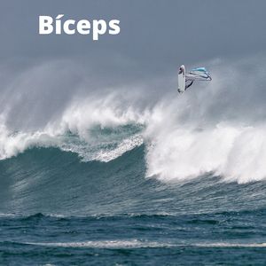 Biceps