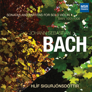 Violin Sonata No. 1 in G Minor, BWV 1001: I. Adagio