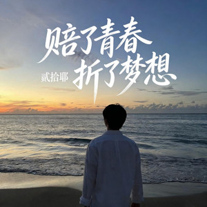 赔了青春折了梦想