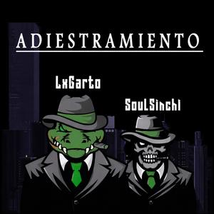 ADIESTRAMIENTO (feat. SoulSinchi) (Dj Kamikaze Remix)