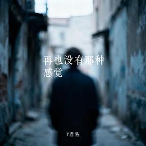 再也没有那种感觉 (Cover 范茹)