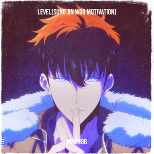 Level(Sung Jin Woo Motivation)