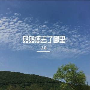 妈妈您去了哪里-合