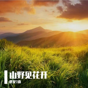 山野见花开