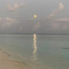 Too Far (0.8X降调版)