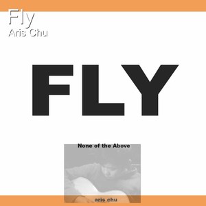 Fly