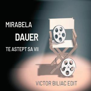 Te Astept Sa Vii (feat. Mirabela Dauer)