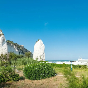写给深夜食堂的留言