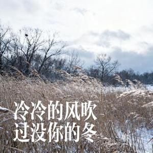 冷冷的风吹过没你的冬 (Cover 草原兄弟)