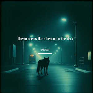 The dark night
