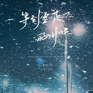 等到雪落下的时候 (DJ版)