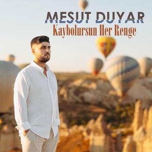 Kaybolursun Her Renge