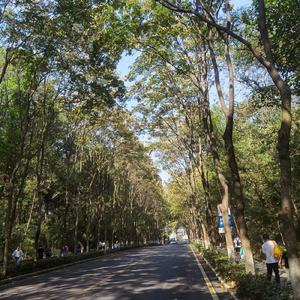 念旧的人都是该死的拾荒者