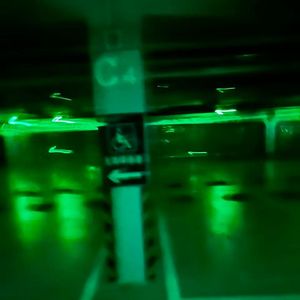 Dancing Martian Raccoons