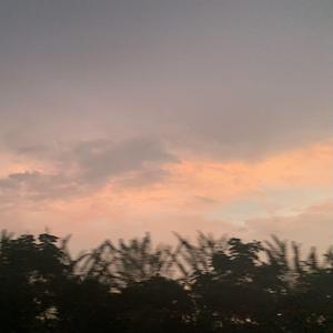 在我前面的那个人