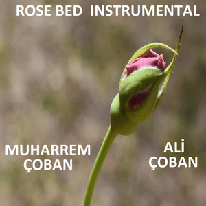 ROSE BED INSTRUMENTAL