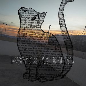 Psychodelic