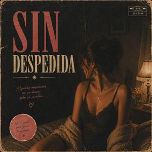 Sin Despedida