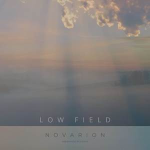 Low Field