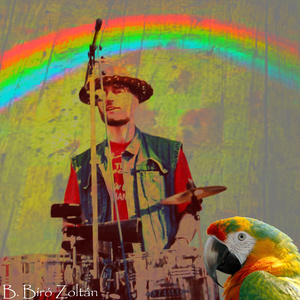 Papagáj (Dzsungelmadár)