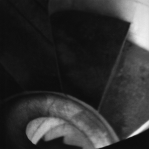 Because I Could Not Wait For Death