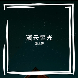 星坠的细碎光