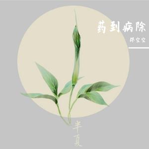 熟地将离，莫忘当归（2.0）