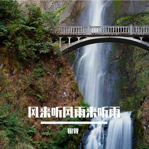 风来听风雨来听雨