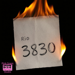 RIO 3830 (Acoustic)