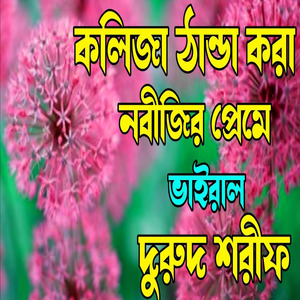 কলিজা ঠান্ডা করা নবীজির প্রেমে ভাইরাল দুরুদ শরীফ। বাংলা দুরুদ শরীফ