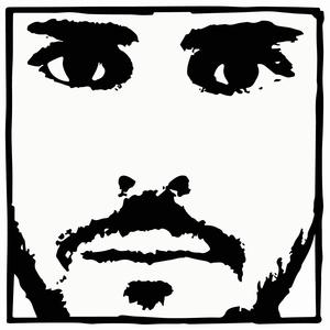 El Idiota (A veces soy yo)