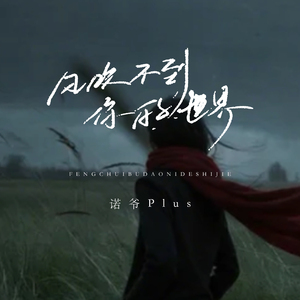 风吹不到你的世界