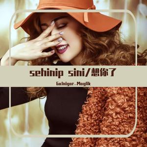 Sahinip Seni/想你了（翻自 Alisher Zokirov）