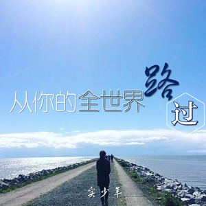 从你的全世界路过