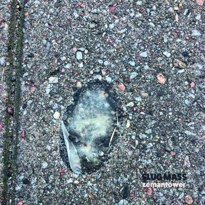 head